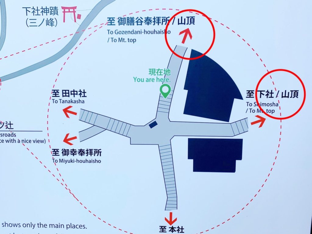 伏見稲荷　山頂　地図